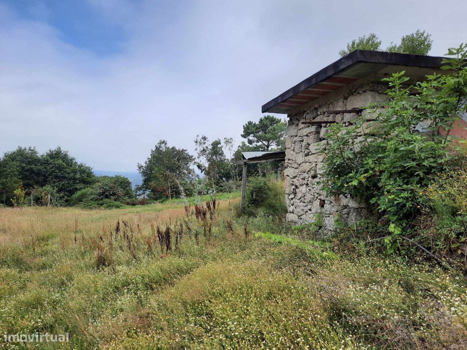 Terreno agrícola e florestal em Monte, Fafe