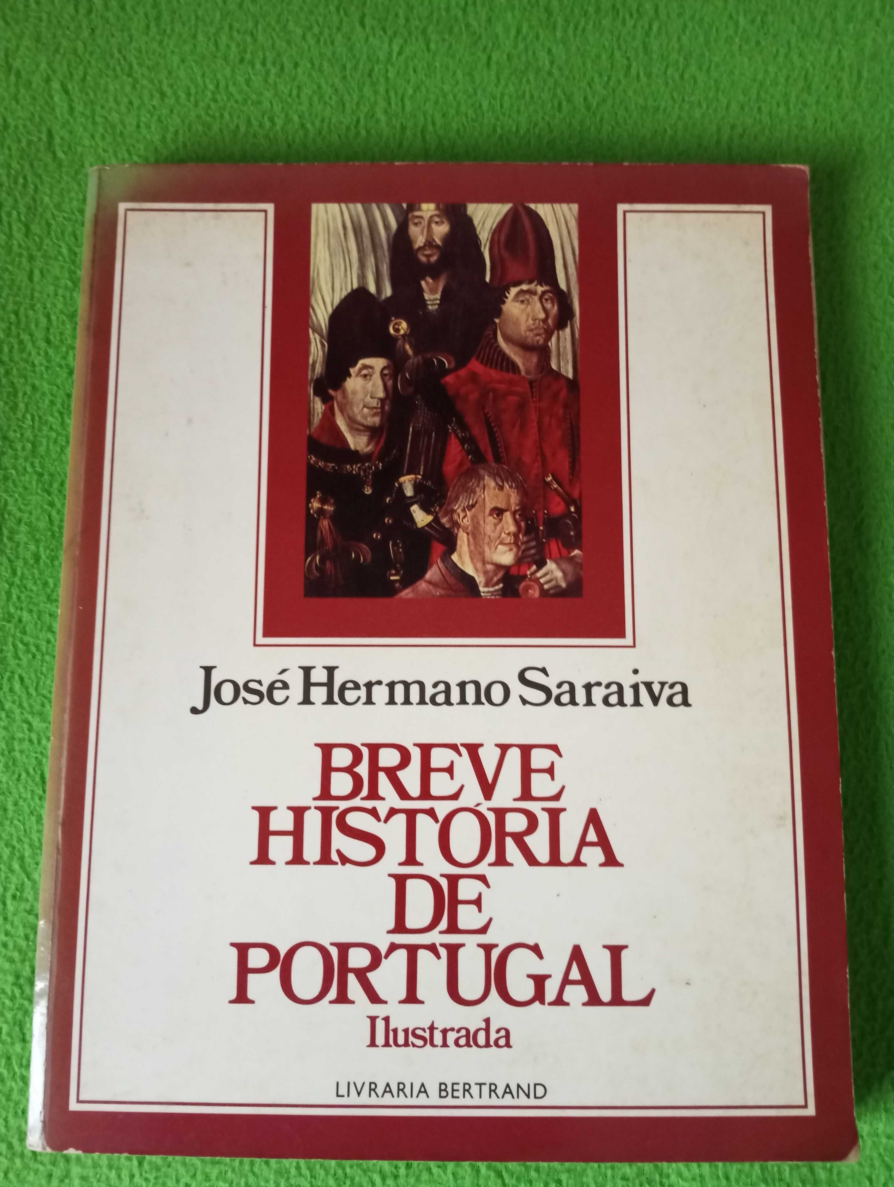 José Hermano Saraiva - Breve História de Portugal Ilustrada