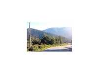 Terreno com 2.650m2 nas Torres do Mondego.