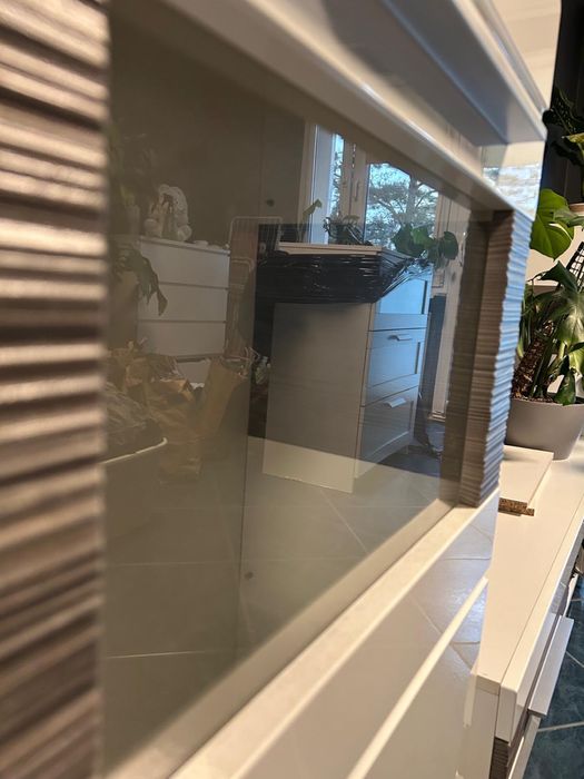 Mebloscianka biala w polysku