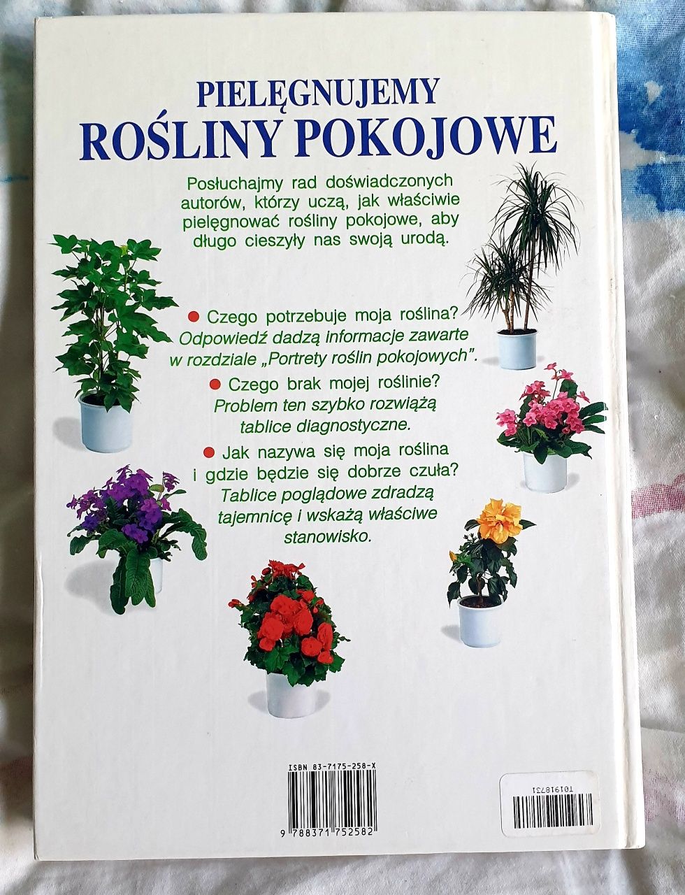 Pielęgnujemy rośliny pokojowe - Jurgen Wolff
