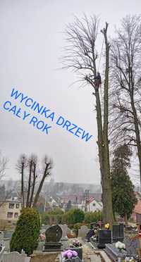 Wycinka drzew, ścinka drzew, Żory, Czerwionka +30km