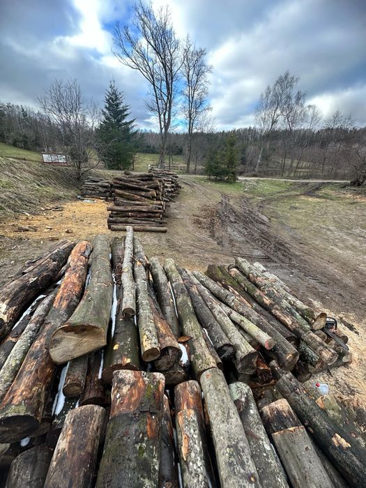 Drewno opałowe Kominkowe