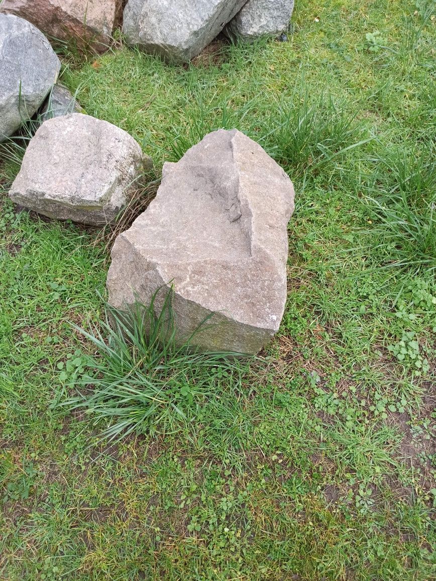 Kamienie, skalniak