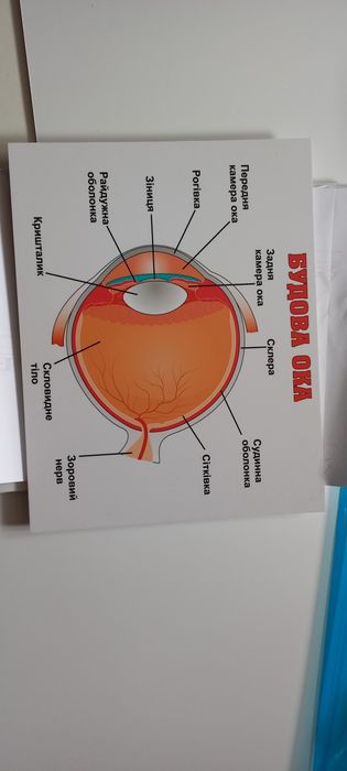 Таблиці для перевірки зору.