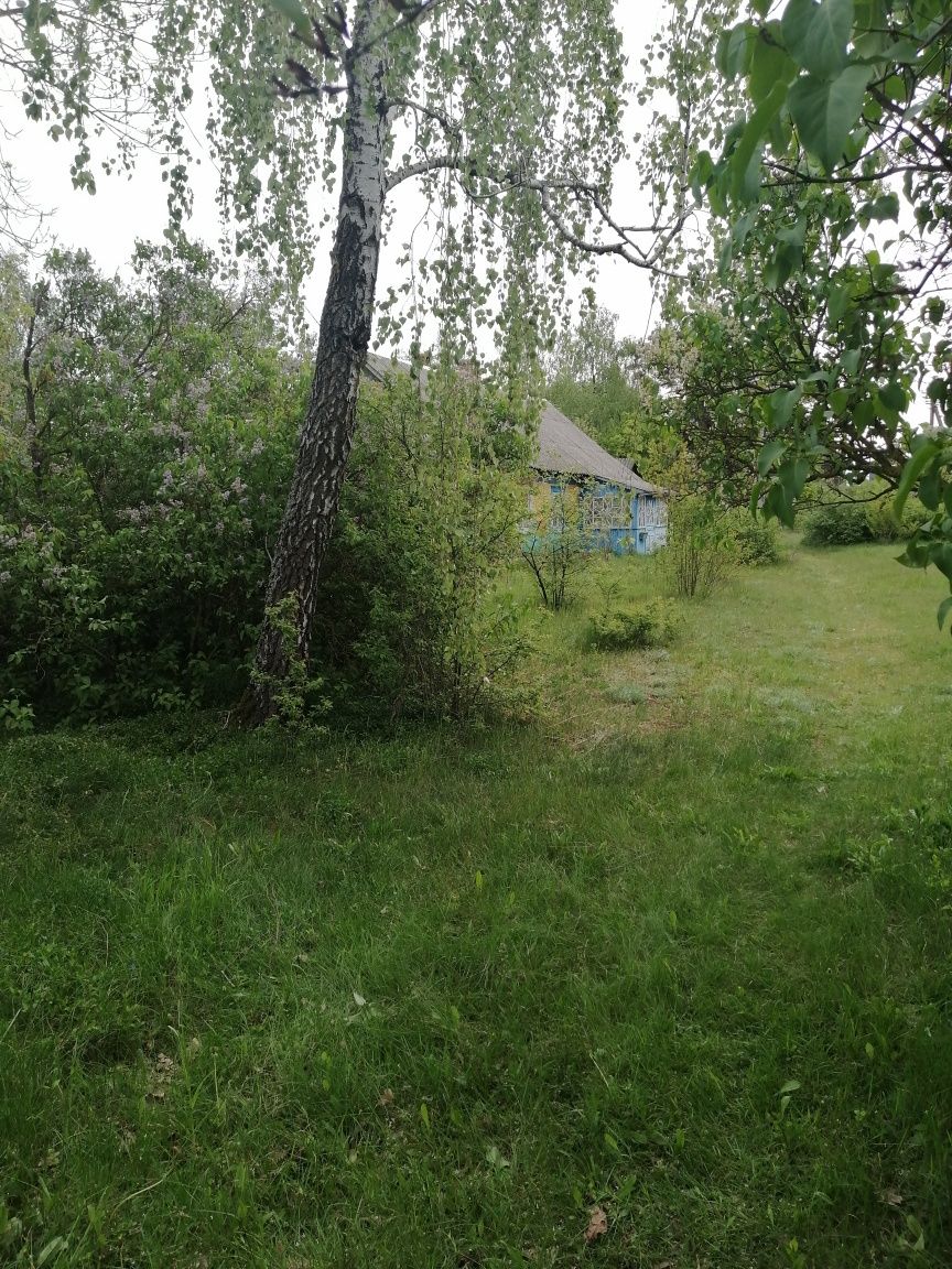 Хата з ділянкою і город