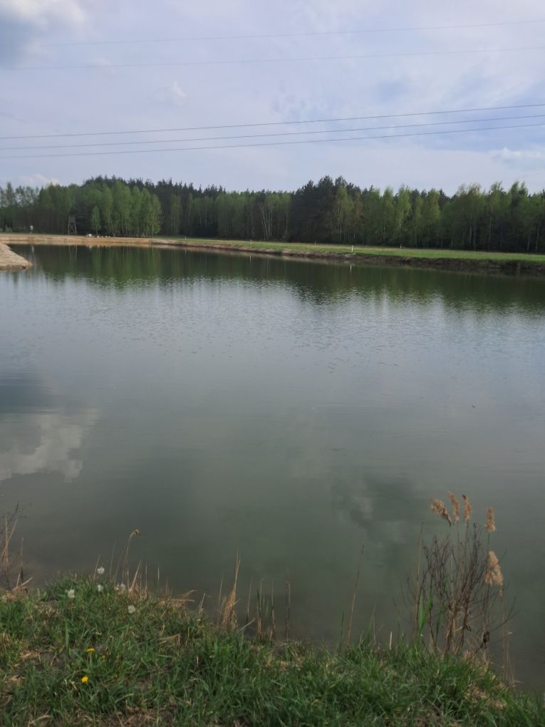 Sprzedam działkę w Nekielce
