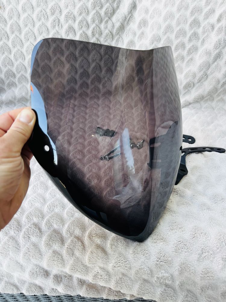 Yamaha FZ1 viseira Biondi