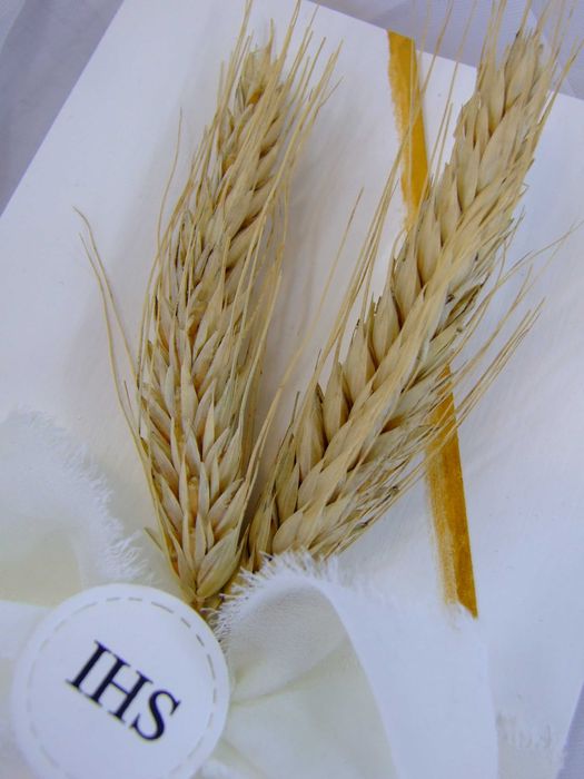 Zaproszenie komunia 2026