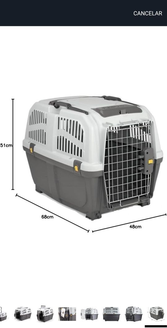 Transportadora iata 4 para cães