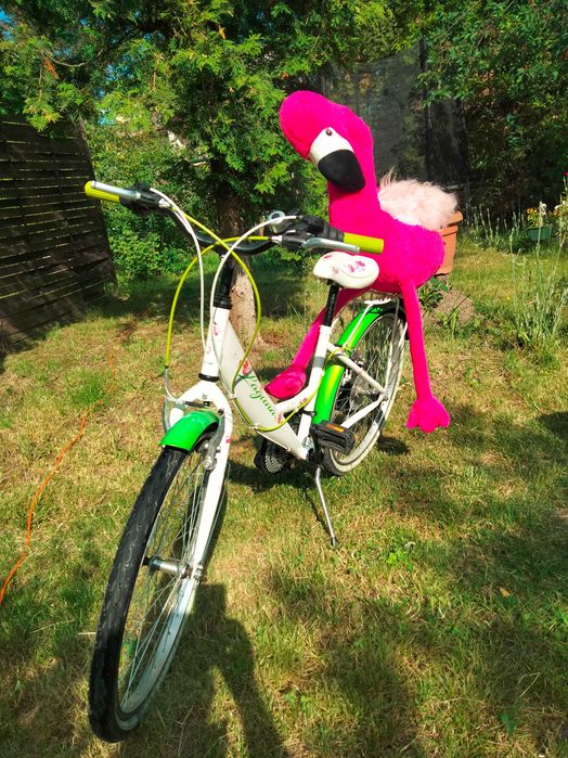 ROWER 24 cale KANDS LAGUNA + gratis