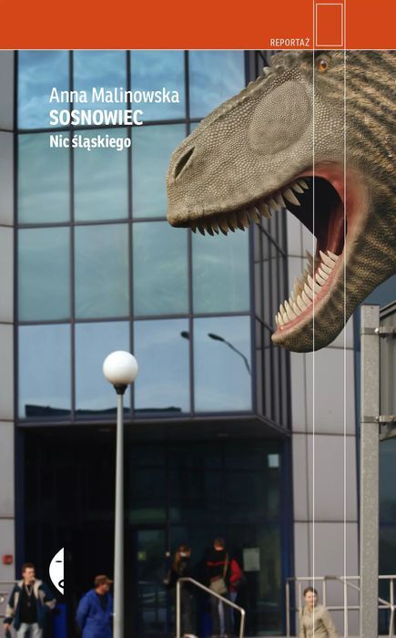 Sosnowiec. Nic śląskiego. Czarne