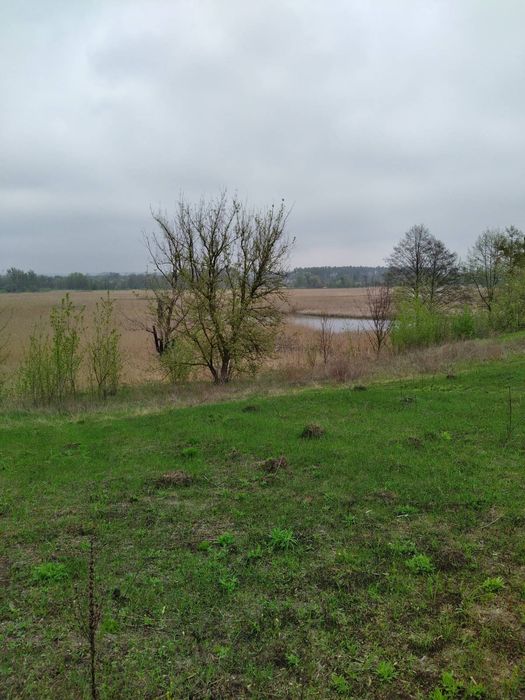 Продаж земельної ділянки