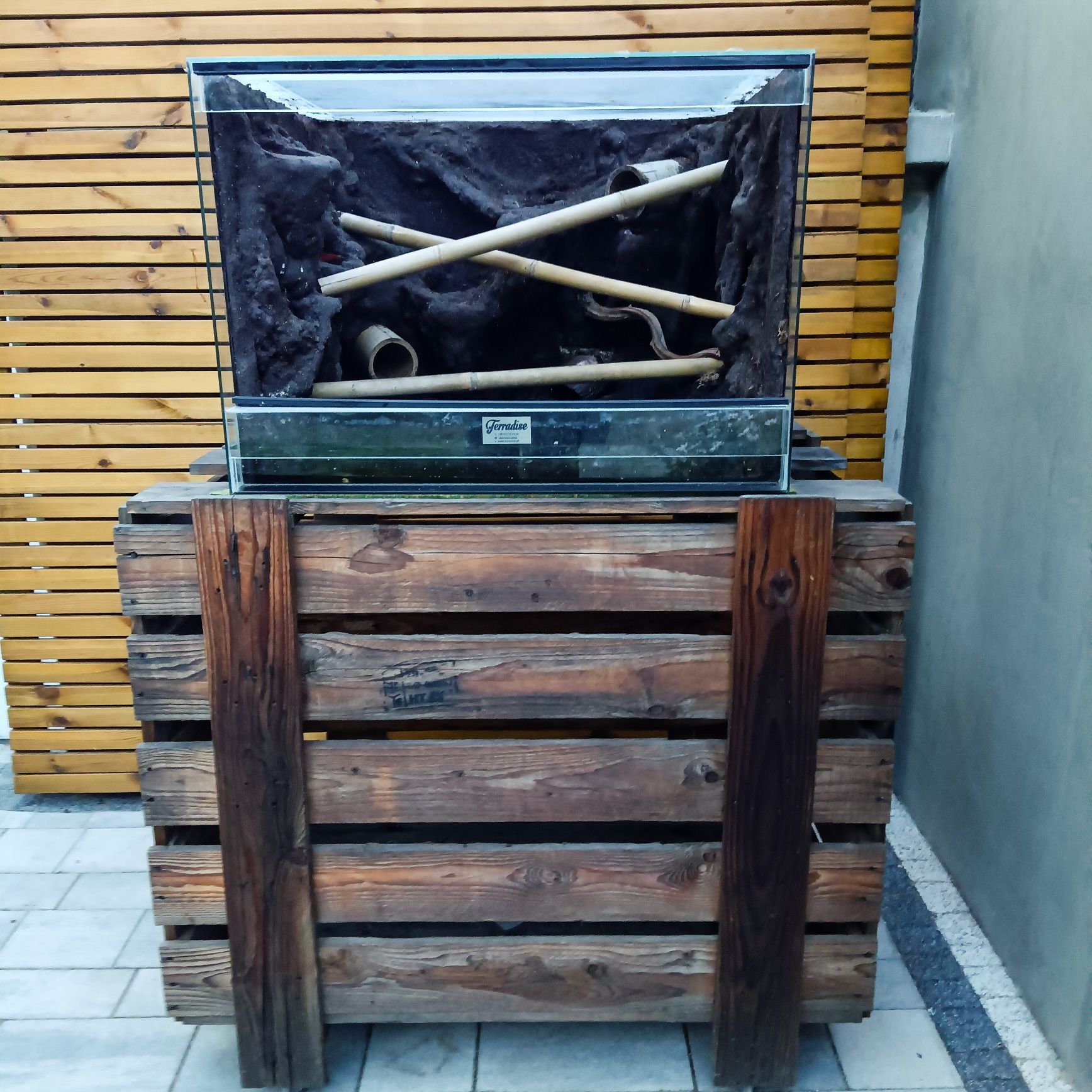 Terrarium wiwarium z podstawa Terradise pyton zielony