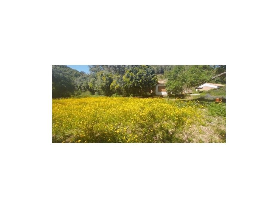 HERDADE (com, 3 Habitações)