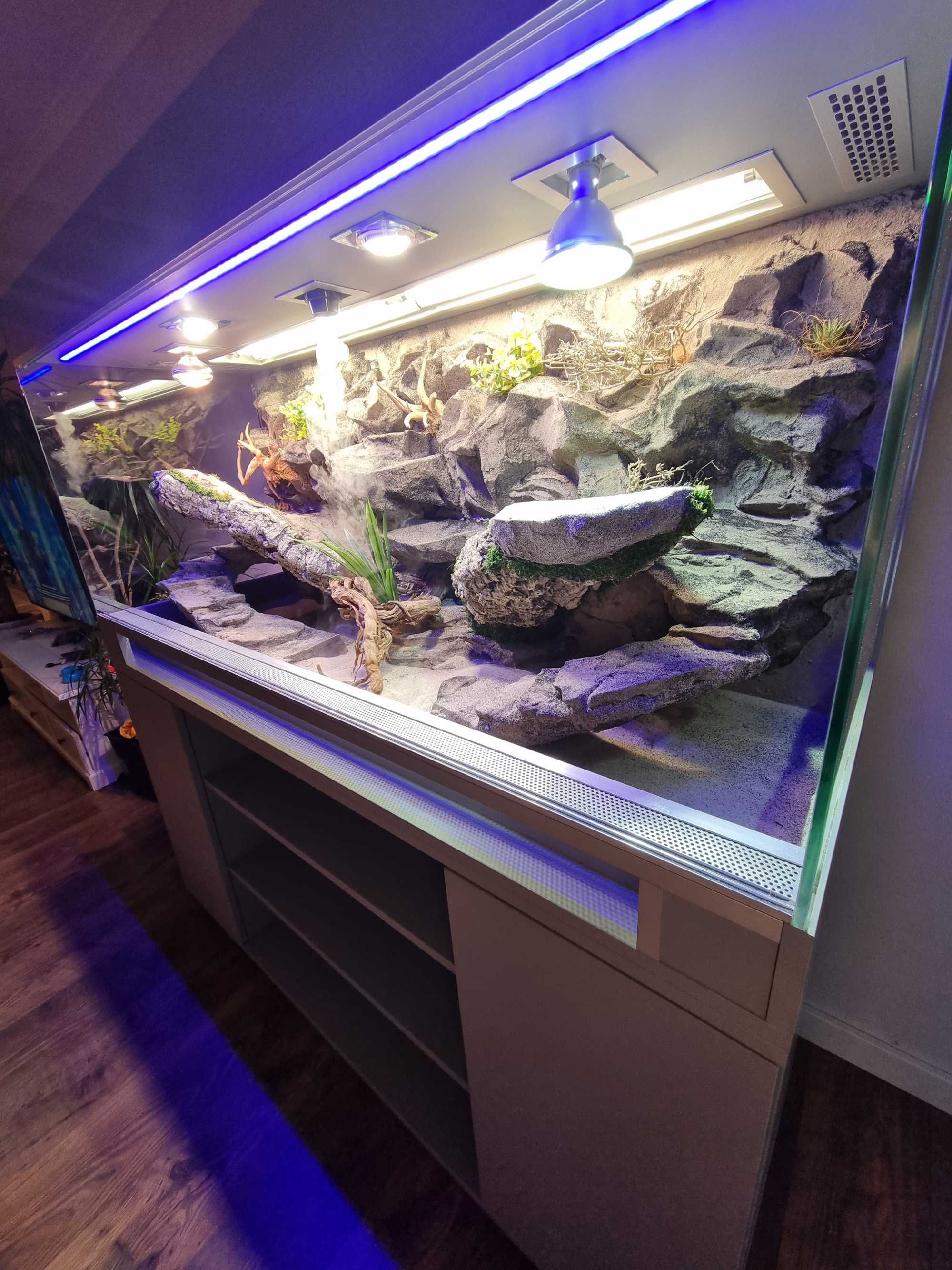 Terrarium dla agamy brodatej na zamówienie