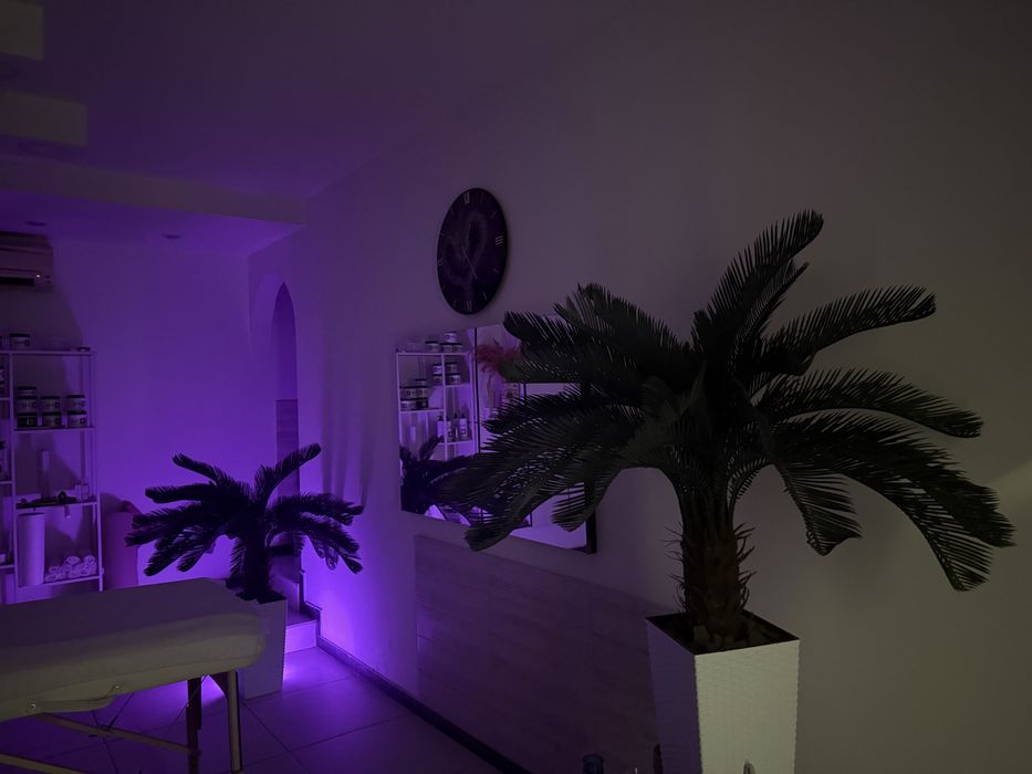 Массаж. Театр Оперы и Балета.