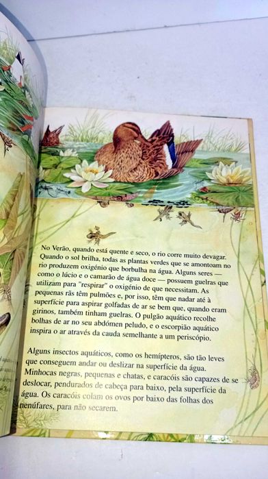 Livros da Coleção - O Mundo em Mudança