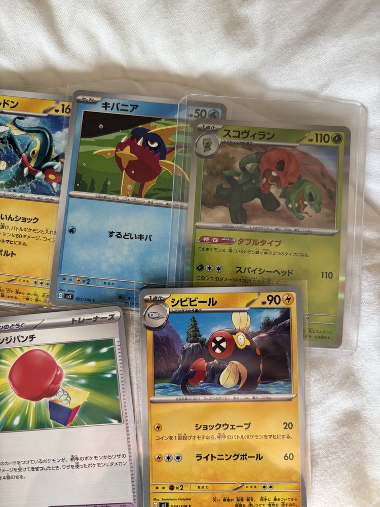 Pokemon Cards - Japanese Ruler of the Black Flame