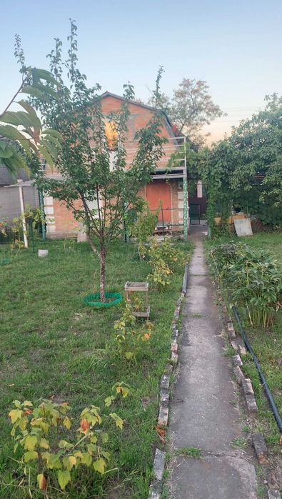 Дача Садівниче товариство "Будівельник"