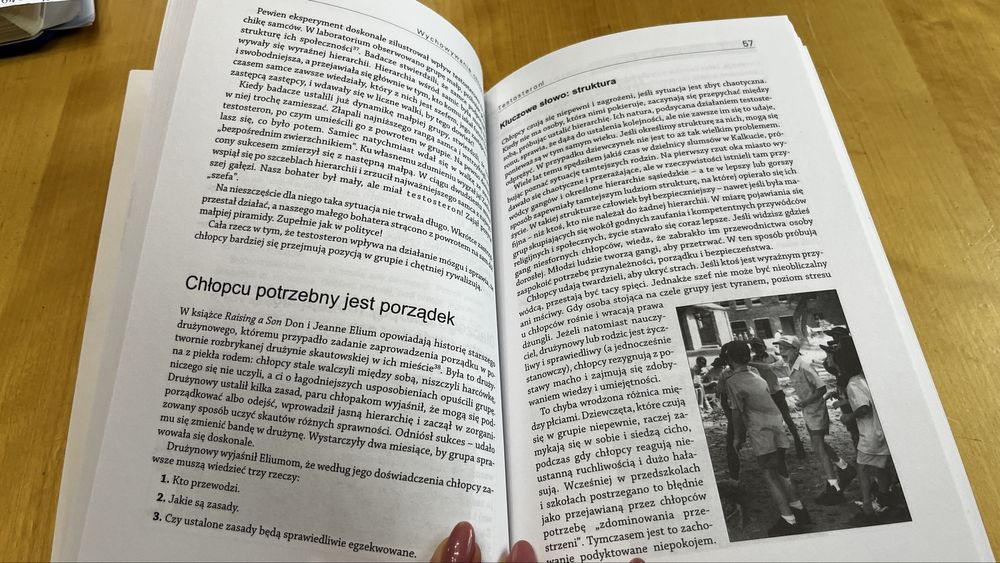 Wychowanie chłopców. Steve Biddulph