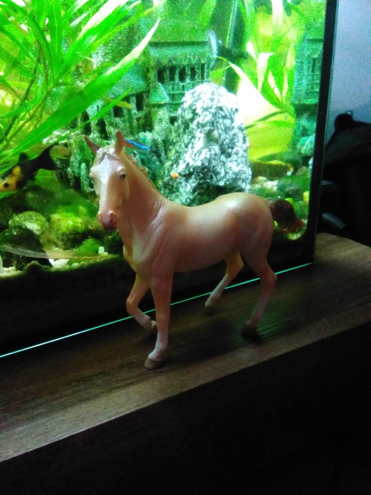Collecta koń klacz achaltekinska Perlino figurka