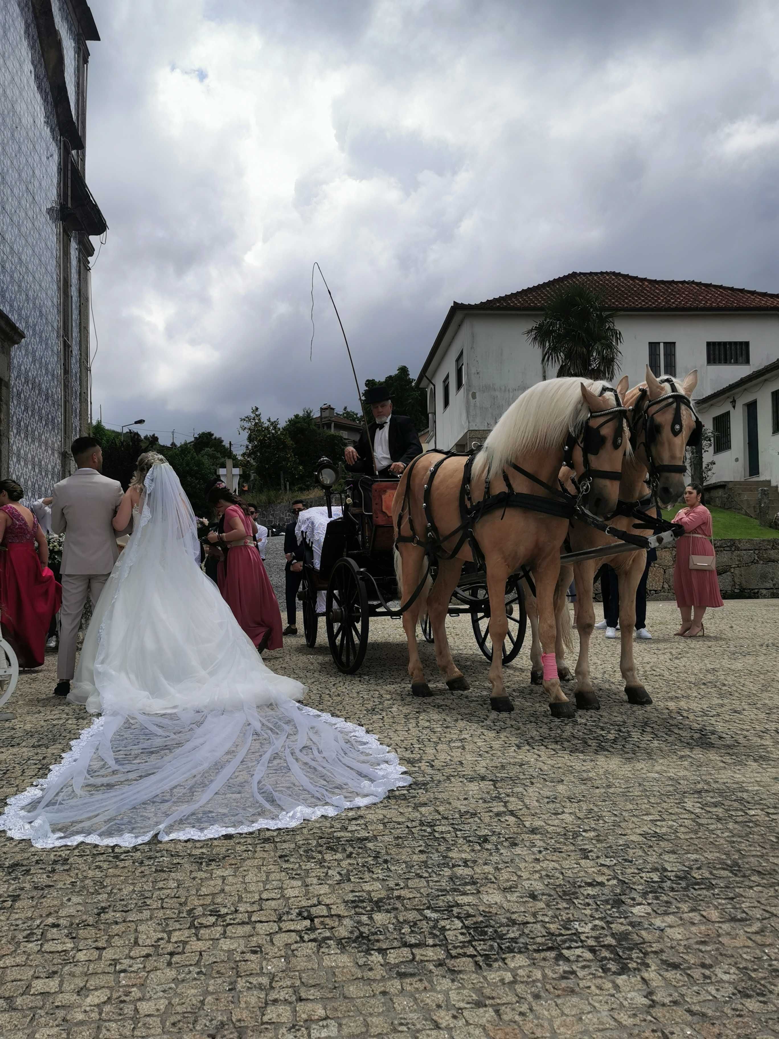 Eventos com charrete de cavalos