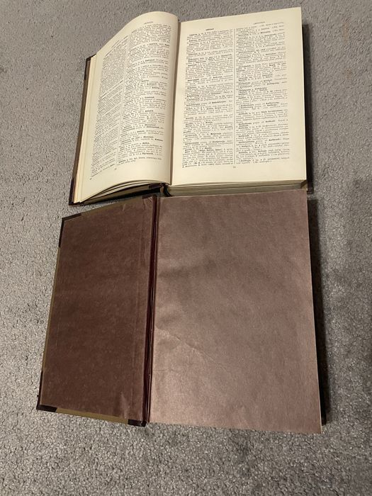 Slownik języka polskiego rok 1900. Pięć tomów