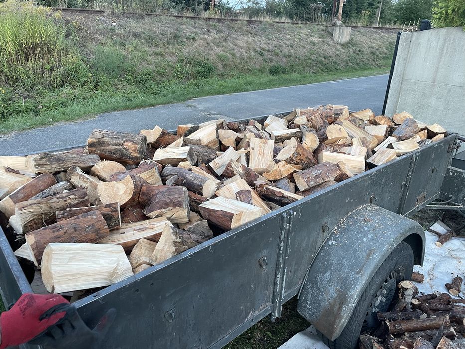 Drewno opałowe suche, cięte, rozpałkowe, sosna. TRANSPORT GRATIS