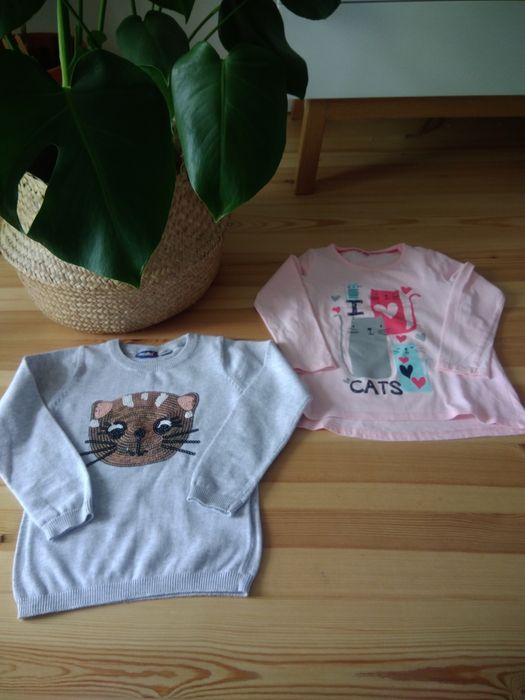Sweterek i bluzeczka kot kotek 116 dziewczynka