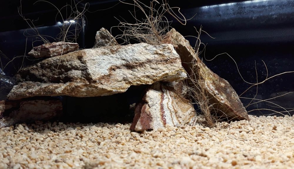 Texas Stone 2-8 mm - podłoże do terrarium pustynnego 15 kg