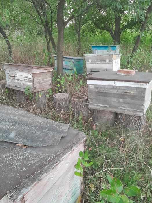 Продам вулики в непоганому стані