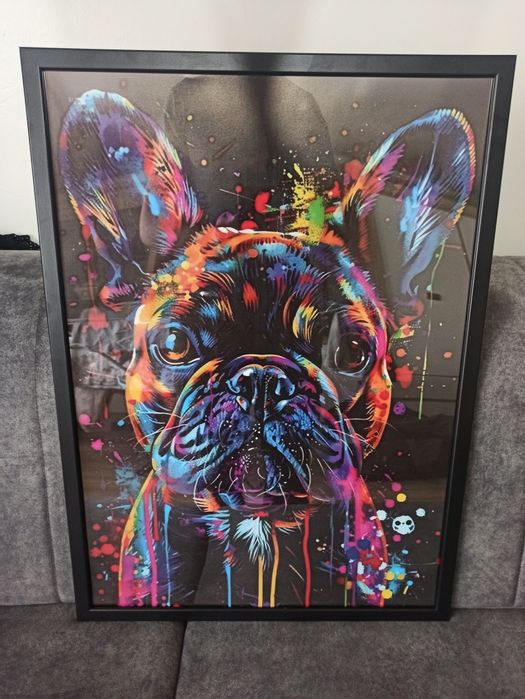 Plakat z ramką Buldog Francuski
