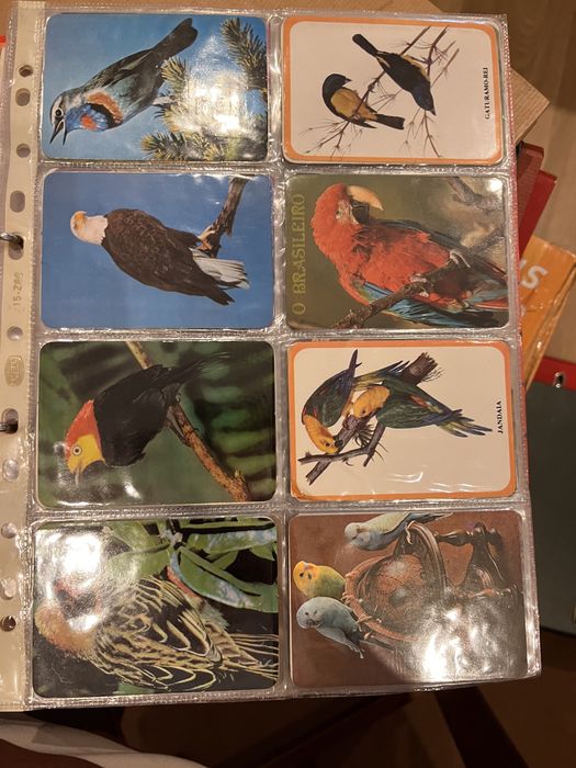 Coleção de 500 calendários vintage