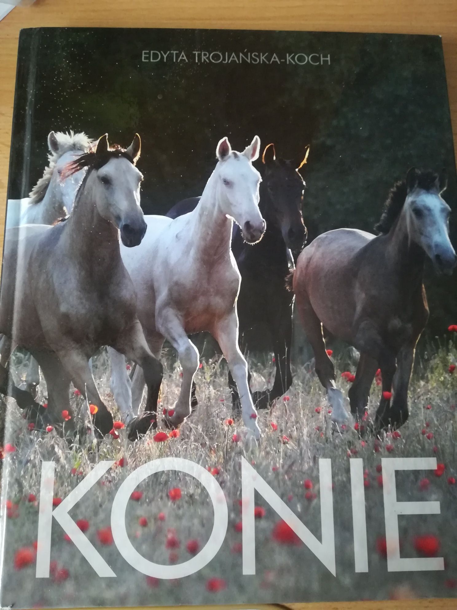 Konie Edyta Trojańska-Koch