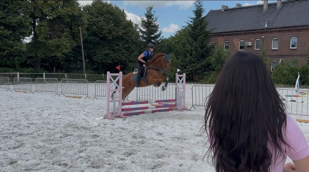 Malowany kasztan do sportu