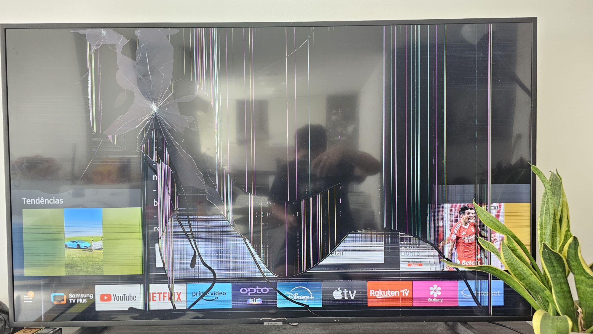 Tv para retirada de peças