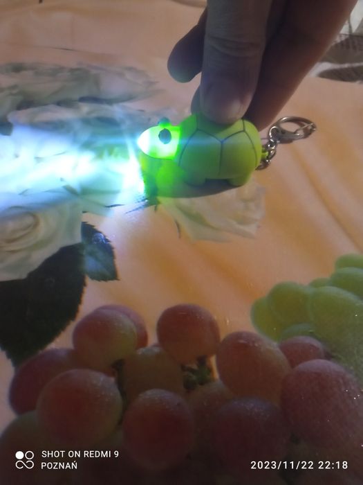 Sprzedam breloczek żòwia