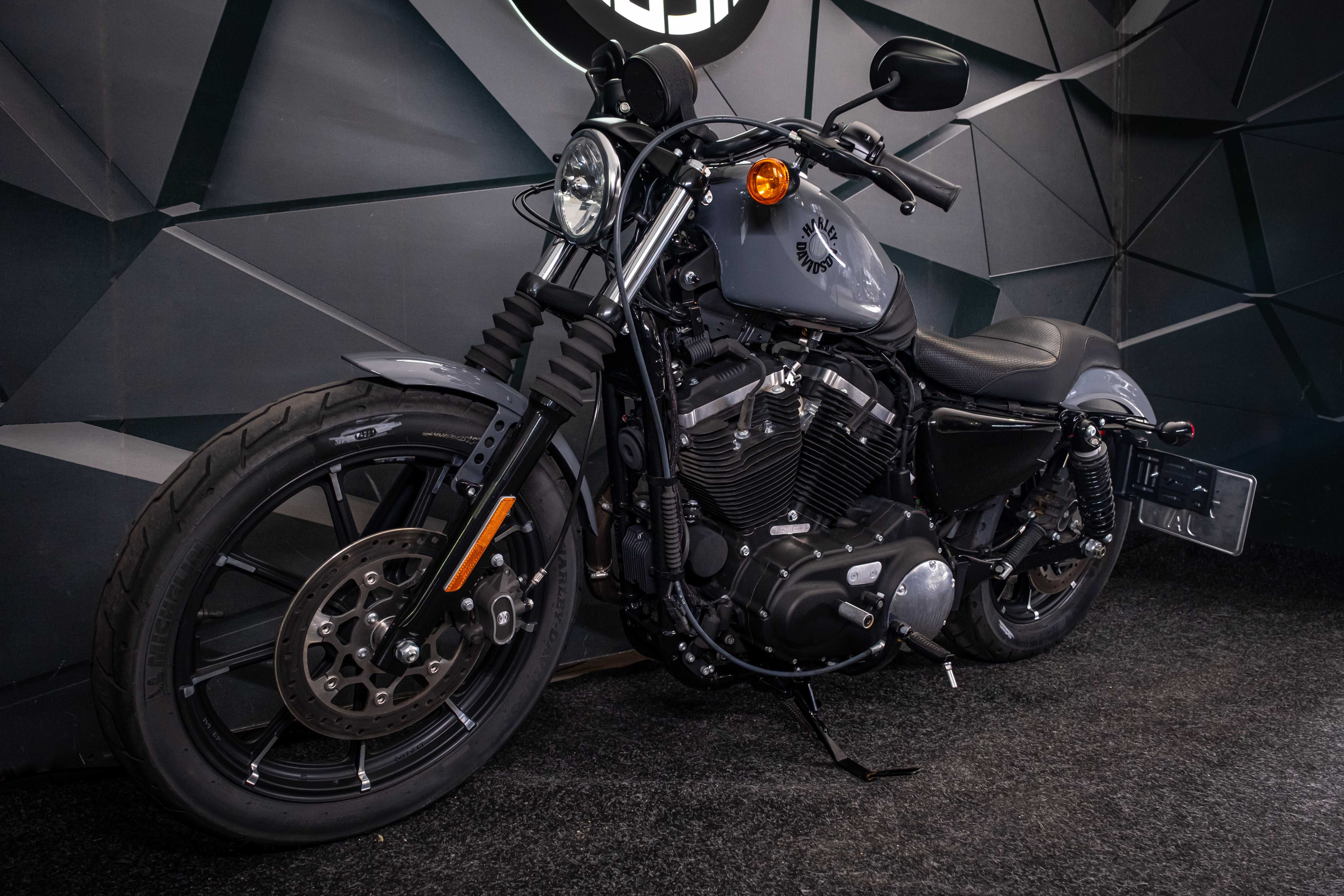 Harley-Davidson XL883 N