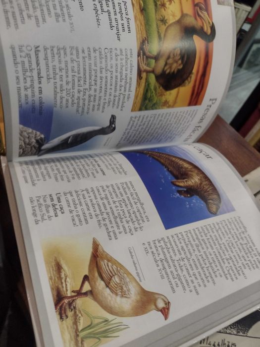 Dinossauros e Animais Desaparecidos - Laure Cambournac