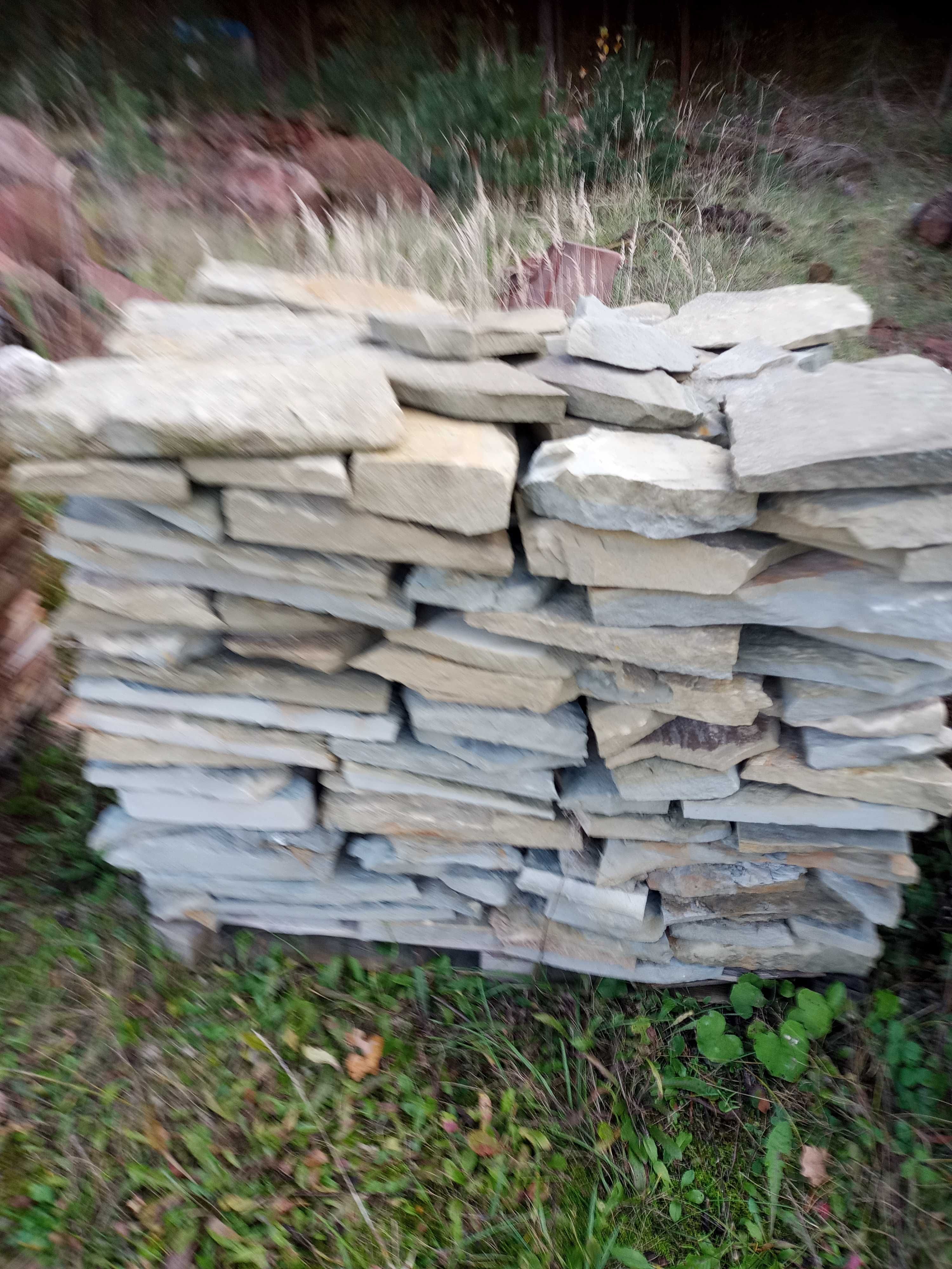Piaskowiec dzikówka