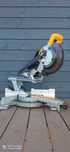 Piła Ukośnica z posuwem DeWalt 18v DCS365 185mm