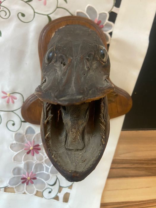 głowa szczupaka stara