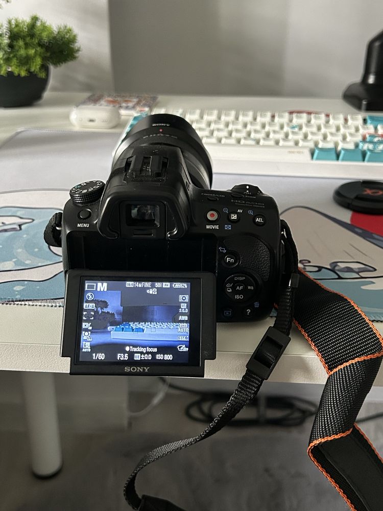 SONY alpha SLT-37 + 16-105