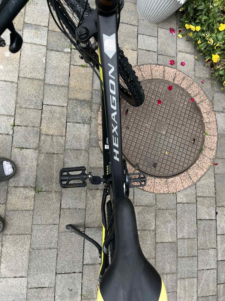 Rower kross hexagon 5.0