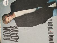 Vinil Brian Adams LP You Want it-you got it