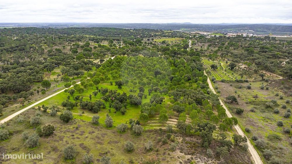 Terreno  para venda