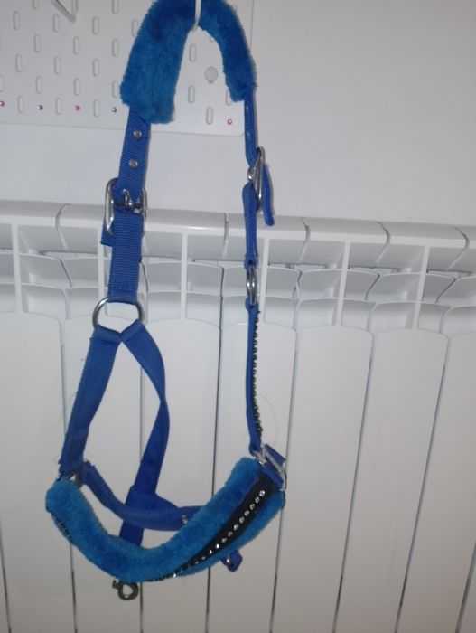 Kantar dla konia granat PONY