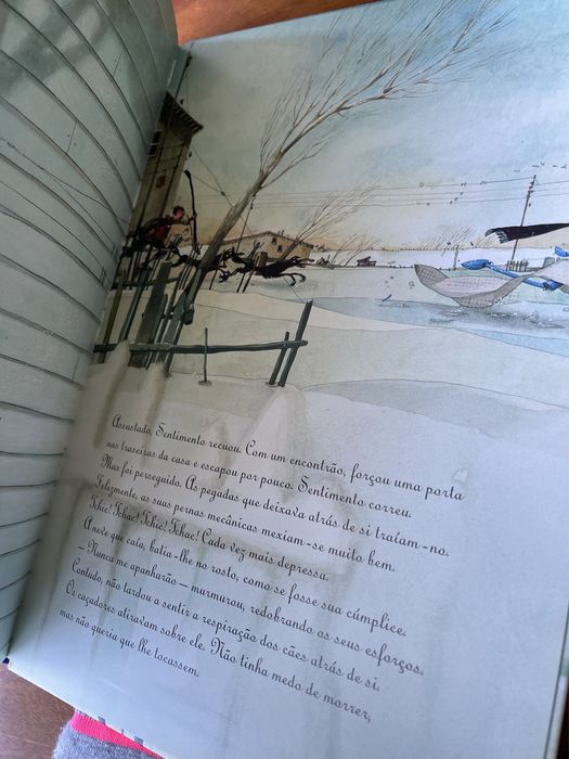 Livro Sentimento  de Carl Norac