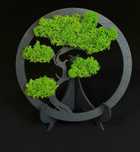 Obraz drzewko bonsai z chrobotkiem + stojak